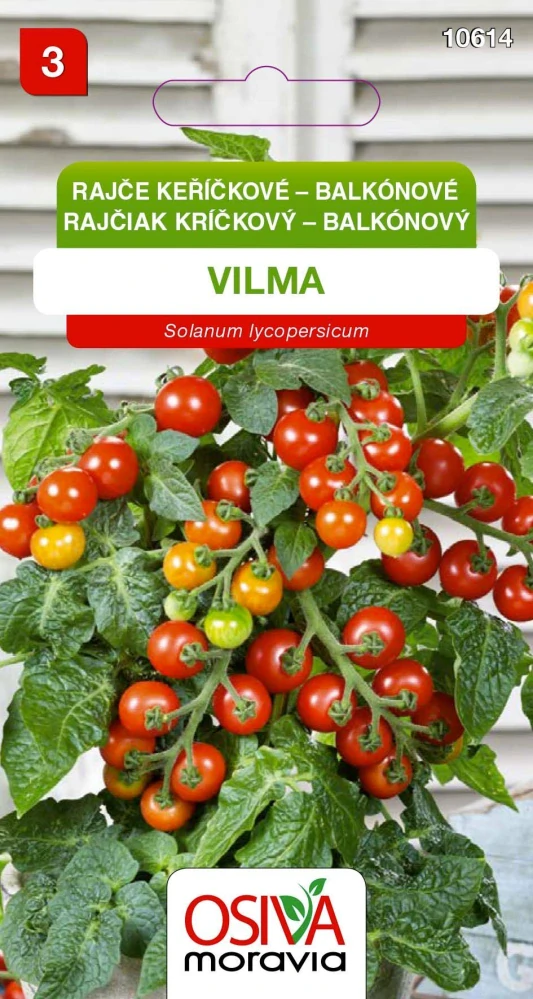 Rajče keříčkové balkonové Vilma