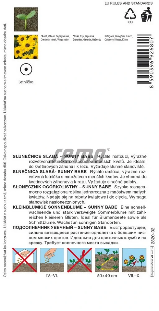 Slunečnice slabá medonosná