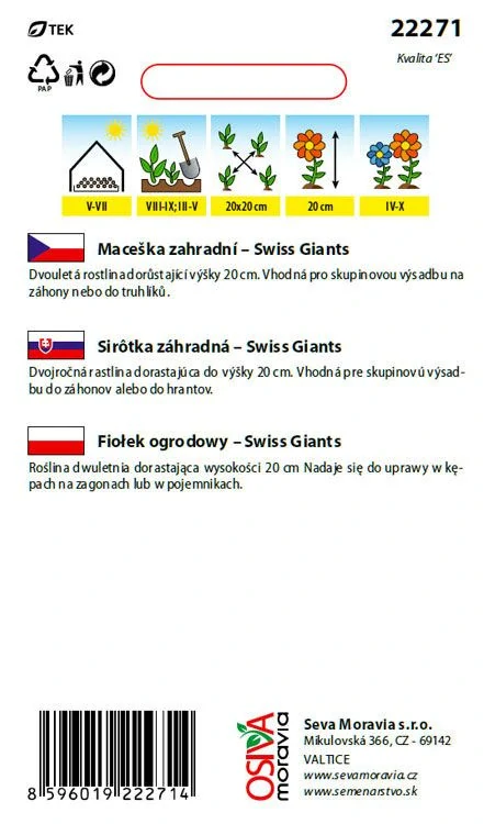 Maceška Swiss giant