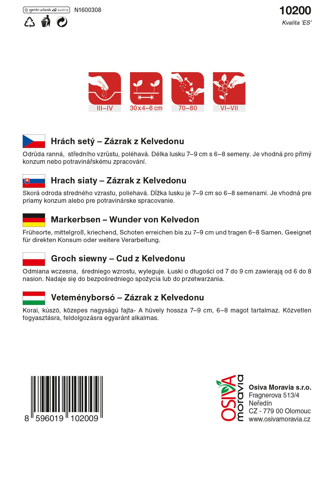 Hrách raný Zázrak z Kelvedonu 250g