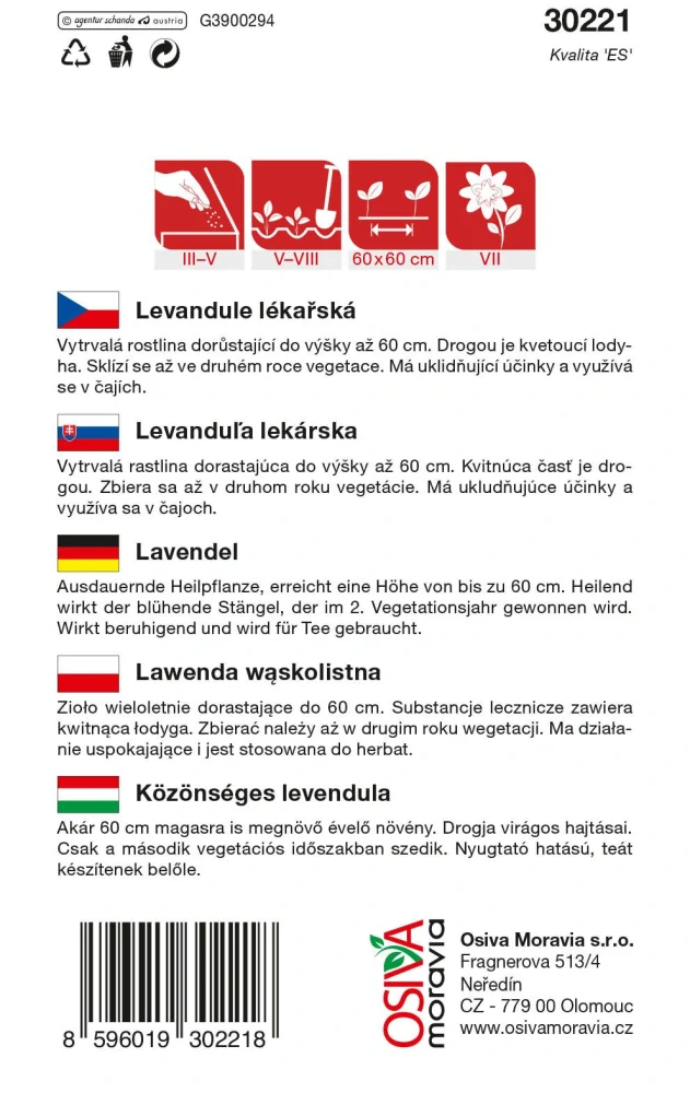 Levandule lékařská