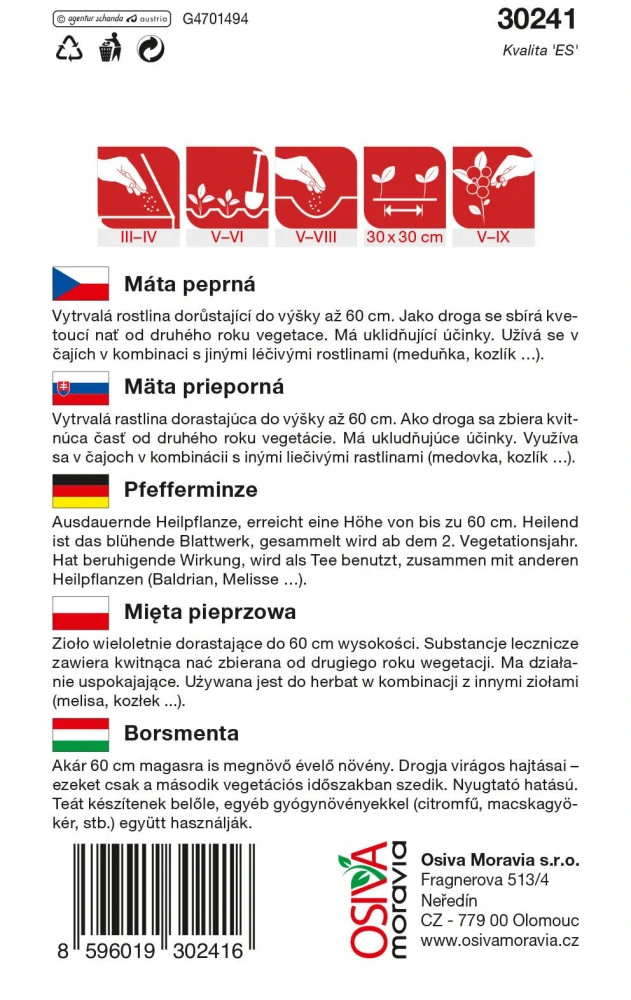 Máta peprná