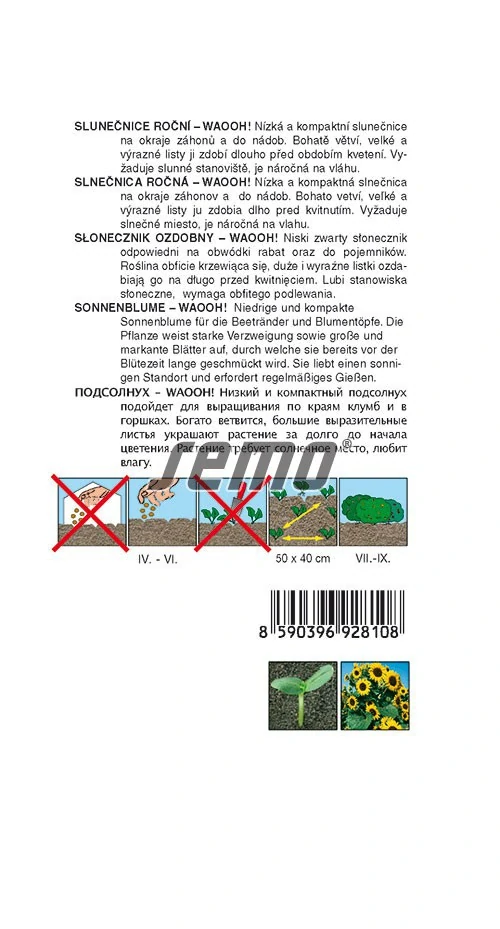 Slunečnice Mini Waooh!