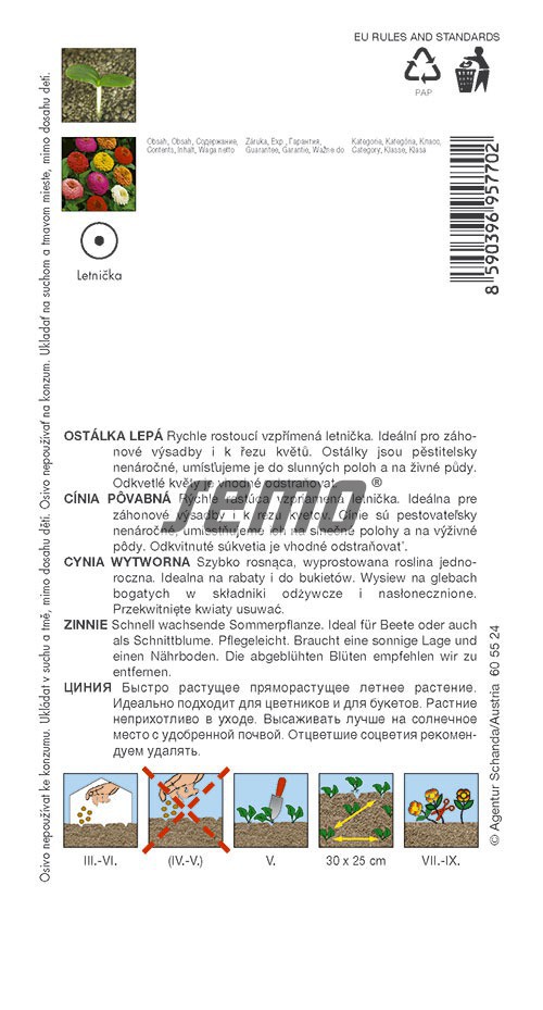 Ostálka lepá mini Double liliput