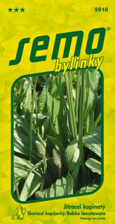 Jitrocel kopinatý 