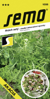 Hrách Akacia sladké výhonky