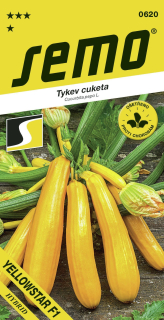 Cuketa žlutá Yellowstar F1