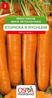 Mrkev velmi raná Stupická