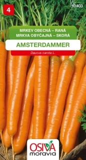 Mrkev raná Amsterdammer
