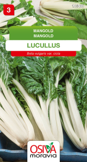 Mangold řapíkatý obrůstající Lucullus