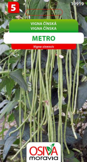 Vigna čínská Metro