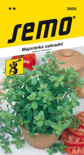 Majoránka zahradní Marietta