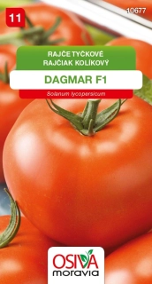 Rajče tyčkové rané Dagmar F1
