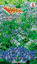 Brutnák lékařský