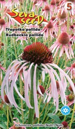 Třapatka Pallida