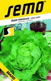 Salát hlávkový letní Mars