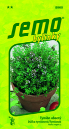 Tymián obecný