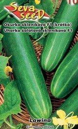 Okurka salátová skleníková F1
