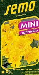 Aksamitník Mini