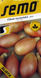 Cibule jarní - salátová