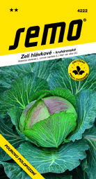 Zelí bílé kruhárenské pozdní