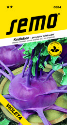 Kedluben modrý pozdní Violeta