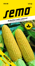 Kukuřice cukrová poloraná Elan F1