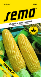 Kukuřice sladká pozdní Andrea