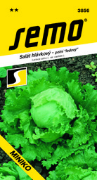 Salát polní ledový raný Miniko