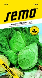 Kapusta hlávková jarní Předzvěst
