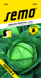 Kapusta hlávková pozdní