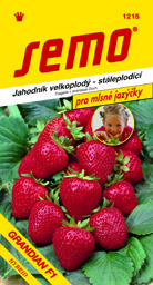Jahoda velkoplodá lahůd. Grandian F1