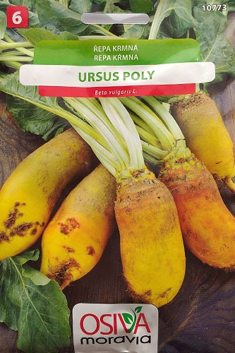 Krmná řepa Ursus Poly