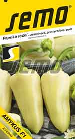 Paprika světle zelená Amykus F1