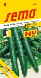 Okurka hadovka do skleníku Vista F1