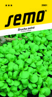 Šrucha zelná Green Purslane
