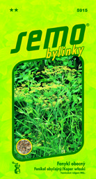 Fenykl obecný bylinka