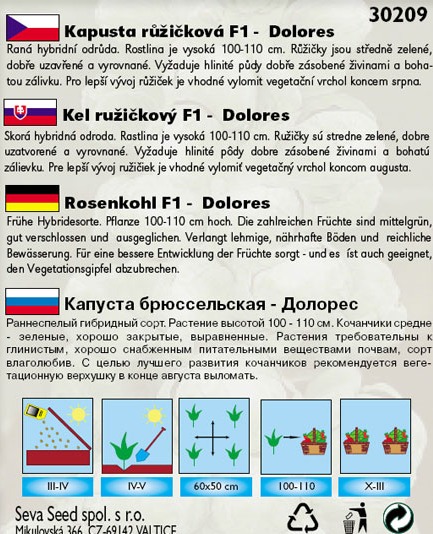 Kapusta růžičková raná Dolores F1