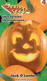 Tykev okrasná Jack-O-lantern
