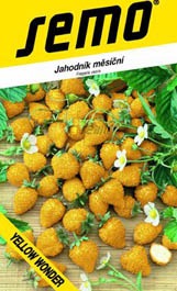 Jahody měsíční žluté do truhlíku