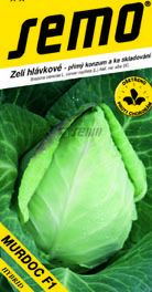 Zelí hlávkové špičaté