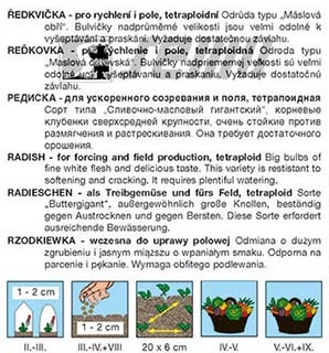 Ředkvička maxi máslová Kvarta