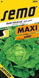 Salát letní Maxi Jupiter