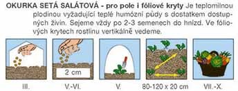 Okurka hadovka Avantgarde F1
