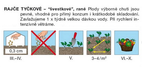 Rajče švestkové Blumko