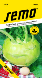 Kedluben pozdní Gigant