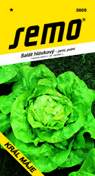 Salát hlávkový jarní polní Král Máje