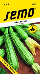 Cuketa světlá pruhovaná Striato