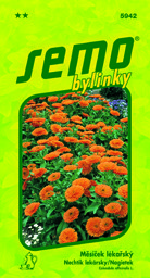 Měsíček lékařský léčivka