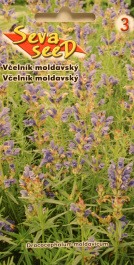 Včelník moldavský